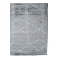 DIAMS Tapis De Salon - 120 X 170 Cm - Polypropylene - Gris Clair