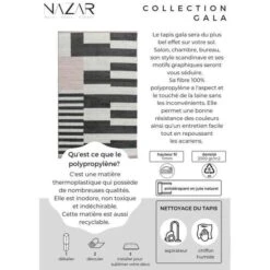 GALA Tapis De Salon En Polypropylene - 160 X 230 Cm - Rose - Motif Design -Philips Boutique gala tapis de salon en polypropylene 160 x 230 cm rose motif design 3701234203362 439597