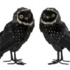 Hibou Plumes Noire Et Dorée Ysarg 10 Cm - Lot De 2 -Philips Boutique hibou plumes noire et doree ysarg 10 cm lot de 2 5415203973528 352882