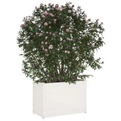 Jardinière D'extérieur Blanc 100x50x70 Cm Bois De Pin Massif -Philips Boutique jardiniere d exterieur blanc 100x50x70 cm bois de pin massif 3666722147835 1269286