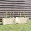 Jardinières D'extérieur 2 Pcs Blanc 60x31x31 Cm Bois De Pin