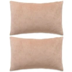 Jeu De Coussin 2 Pcs Velours 40 X 60 Cm Beige
