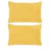 Jeu De Coussin 2 Pcs Velours 40 X 60 Cm Jaune -Philips Boutique jeu de coussin 2 pcs velours 40 x 60 cm jaune 3666722476225 720224