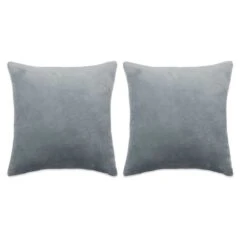 Jeu De Coussin 2 Pcs Velours 60 X 60 Cm Gris