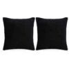 Jeu De Coussin 2 Pcs Velours 60 X 60 Cm Noir -Philips Boutique jeu de coussin 2 pcs velours 60 x 60 cm noir 3666722456944 769351
