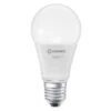 LEDVANCE BTE3 Ampoule Smart+ WIFI STANDARD DEPOLIE 60W E27 /VARIATION DE BLANCS -Philips Boutique ledvance bte3 ampoule smart wifi standard depolie 60w e27 variation de blancs 4058075485730 929822