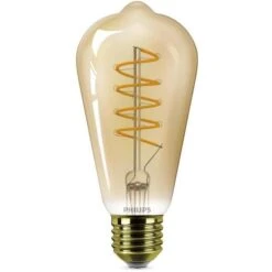 PHILIPS Ampoule LED Edison E27 - 25W Blanc Chaud Ambré - Compatible Variateur - Verre -Philips Boutique philips ampoule led edison e27 25w blanc chaud ambre compatible variateur verre 8719514315457 995316