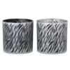 Photophores Verre Noir Et Blanc Zébré Diere - Lot De 6 -Philips Boutique photophores verre noir et blanc zebre diere lot de 6 5415203951588 369813