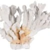 Sculpture Corail Résine Blanc Iluna -Philips Boutique sculpture corail resine blanc iluna 197922
