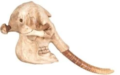 Sculpture Crâne D'éléphante Résine Naturel Vieilli Ouri -Philips Boutique sculpture crane d elephante resine naturel vieilli ouri 8430026936779 197918