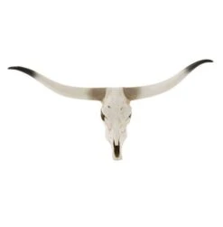 Sculpture Crâne Résine Blanche Et Noire Bialli 50 Cm