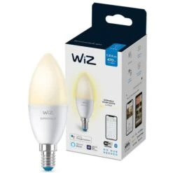 WiZ Ampoule Connectée Flamme Intensité Variable E14 40W