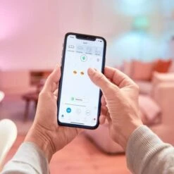 WiZ Ampoule Connectée Flamme Intensité Variable E14 40W -Philips Boutique wiz ampoule connectee flamme intensite variable e14 40w 8718699786212 760531